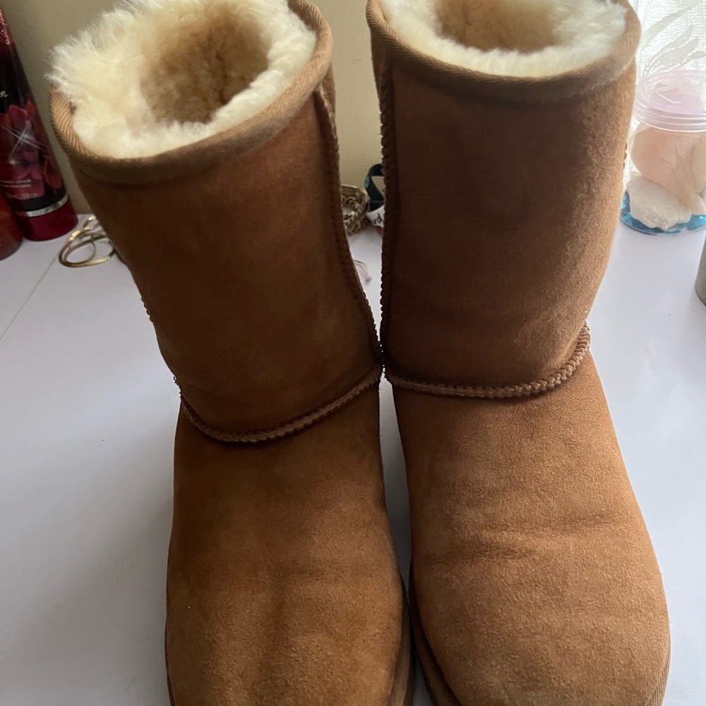Uggs Women Shoe Classic Short Ugg